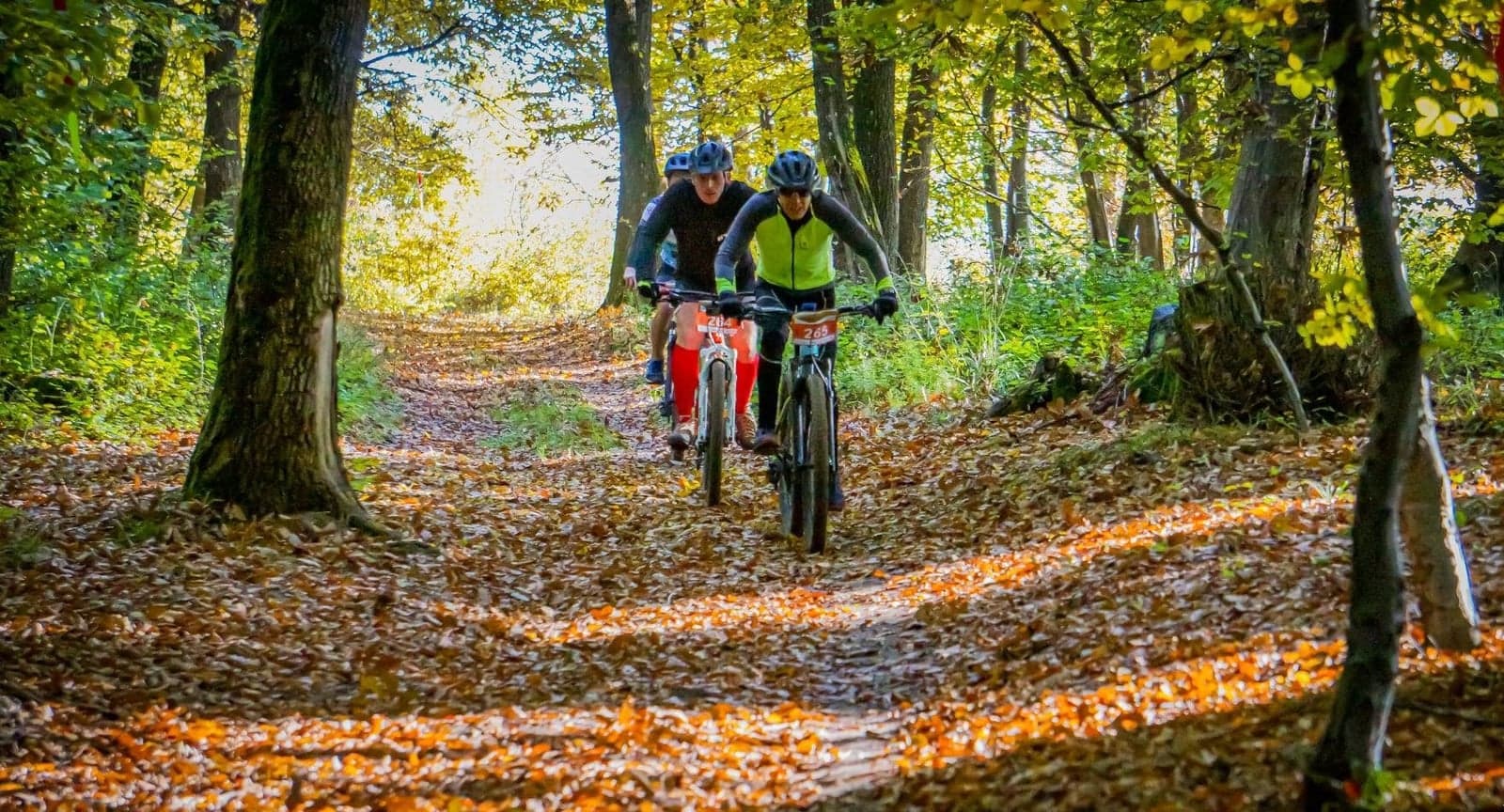 AITON BIKE