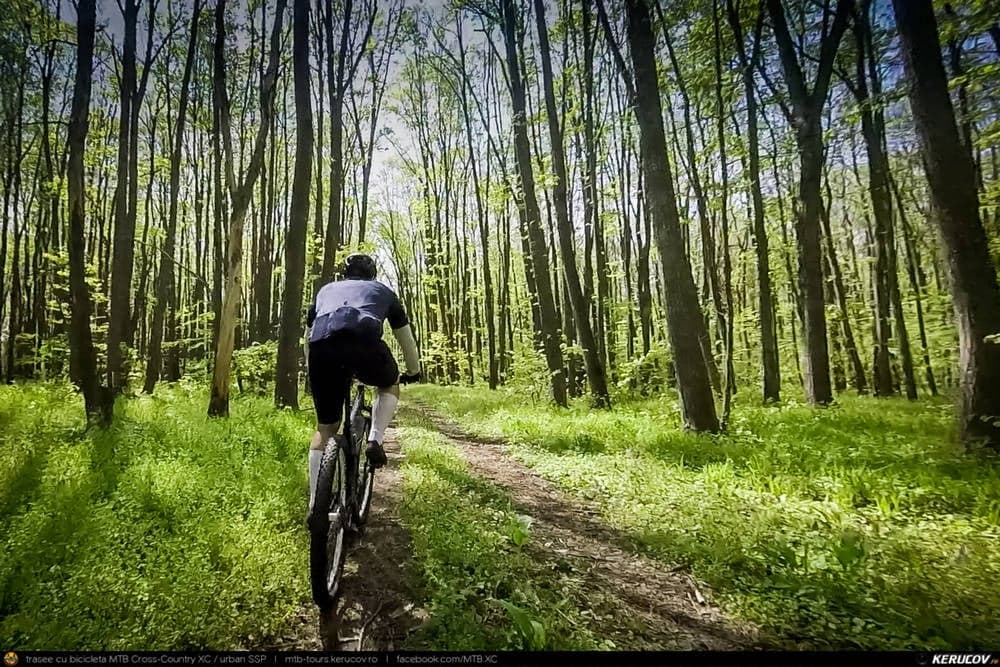 NETINDAVA XC Race