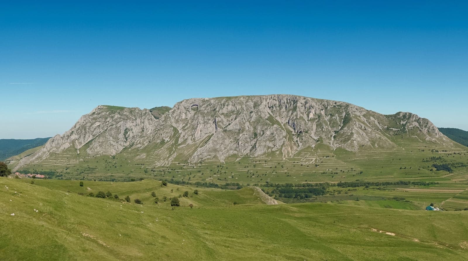 TRASCĂU TRAIL RUN