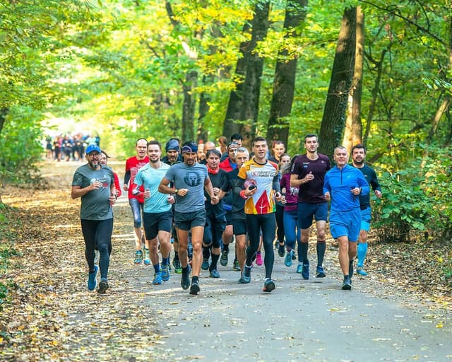 Baneasa Forest Run