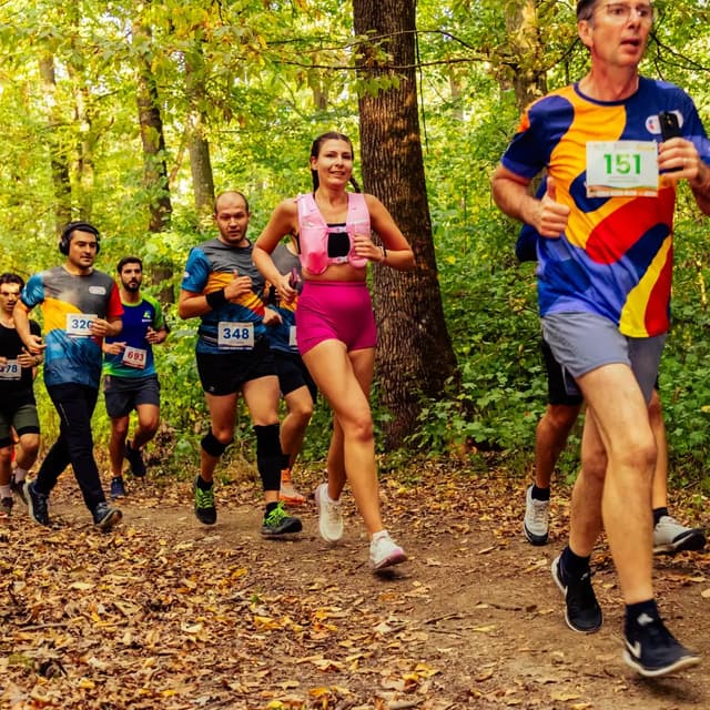 FESTIVALUL SPORTURILOR GREENFIELD