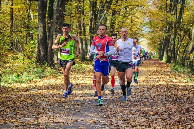 Baneasa Forest Run
