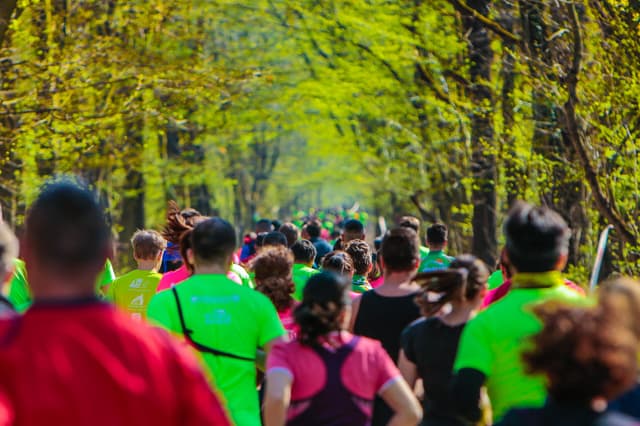 Baneasa Forest Run