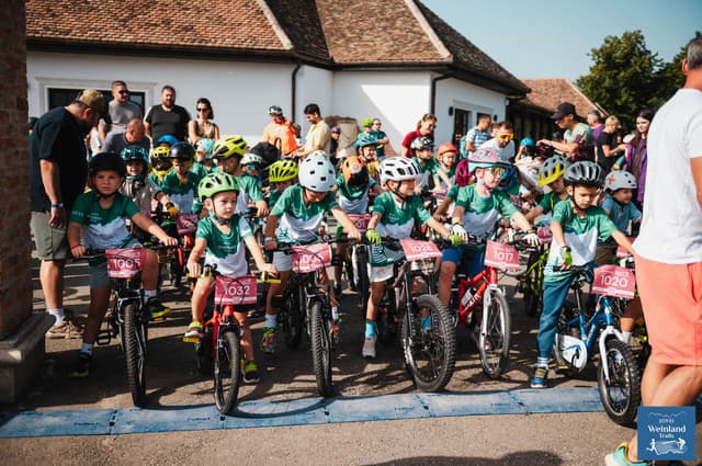 JIDVEI WEINLAND TRAILS