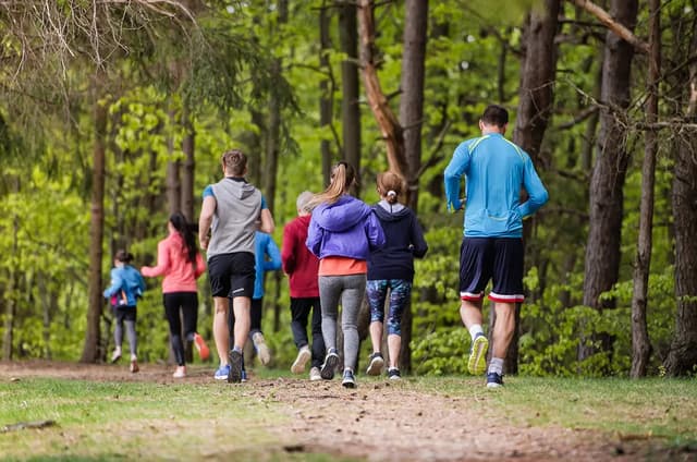 ROMBAT TRAIL RUN