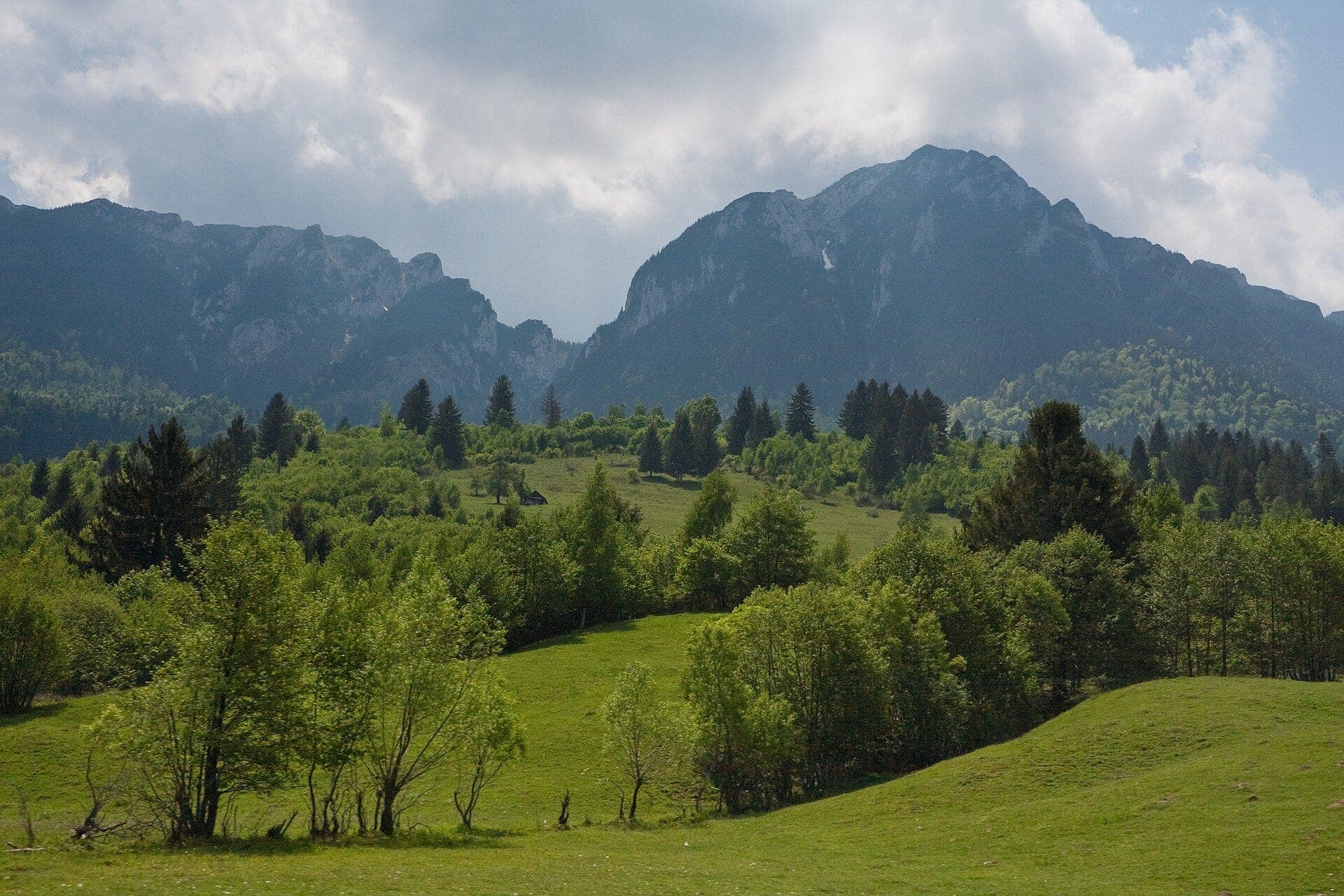 SEMIMARATON ZARNESTI CHALLENGE
