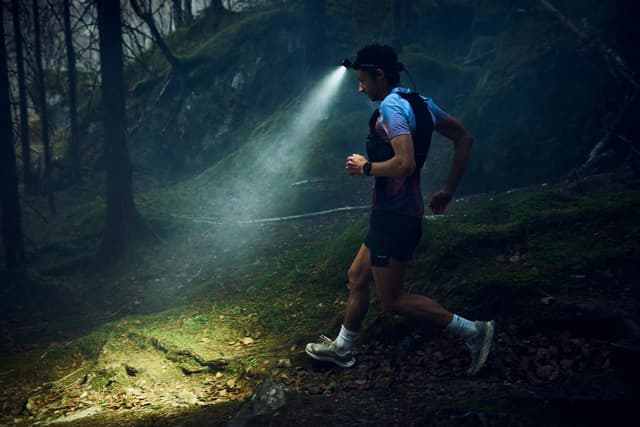 VEVERIȚA NIGHT RUN