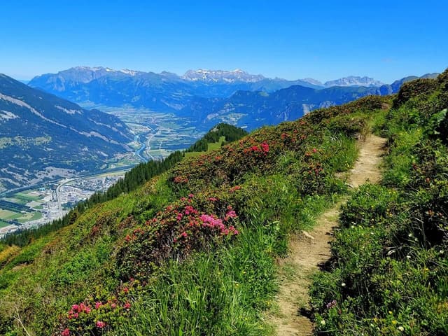 VRANCEA MONTANA RUN