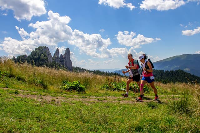 WOODROCKS TRAIL RUN